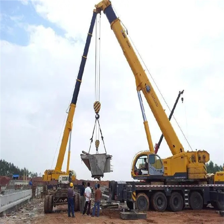 海安小型吊机出租电话|厂房设备吊装方案|24小时服务覆盖